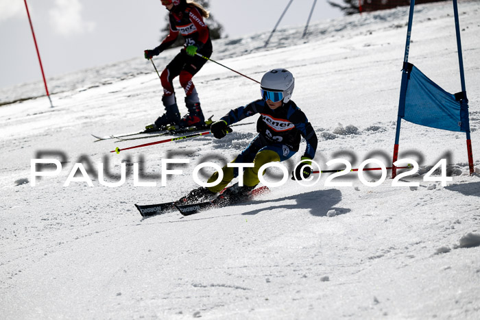 Ziener Cup Finale WF PSL, 30.03.2024 