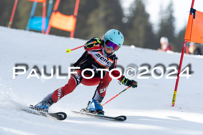 Ziener Cup Finale WF PSL, 30.03.2024 