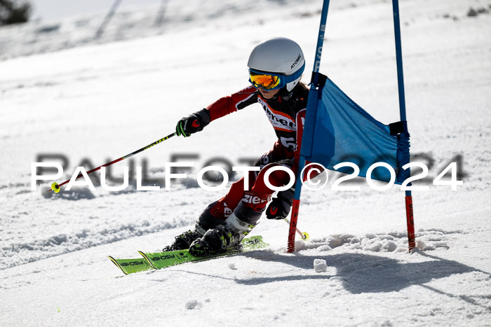 Ziener Cup Finale WF PSL, 30.03.2024 