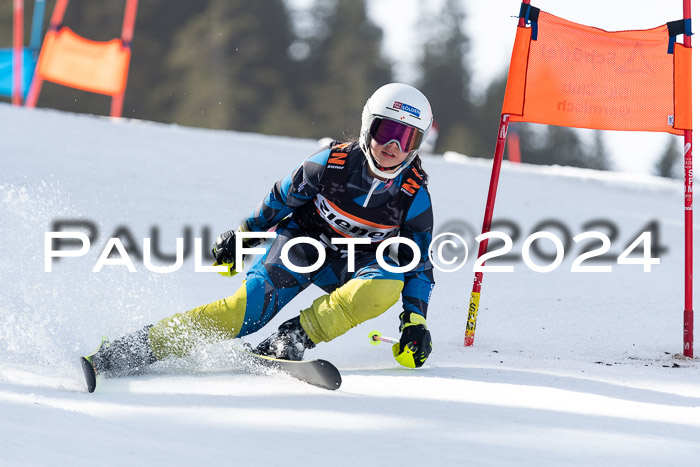 Ziener Cup Finale WF PSL, 30.03.2024 