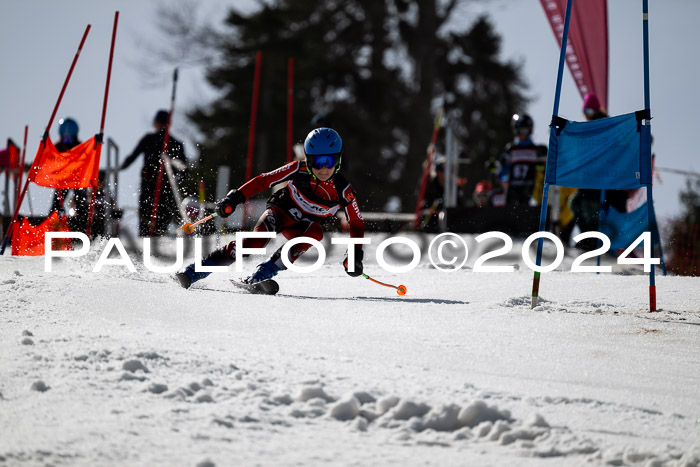 Ziener Cup Finale WF PSL, 30.03.2024 