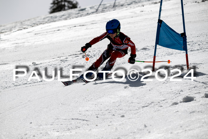Ziener Cup Finale WF PSL, 30.03.2024 