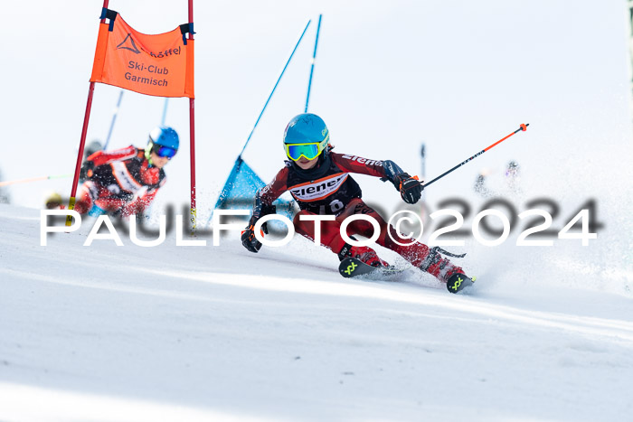 Ziener Cup Finale WF PSL, 30.03.2024 