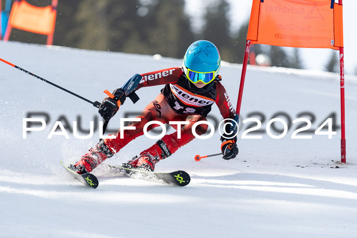 Ziener Cup Finale WF PSL, 30.03.2024 
