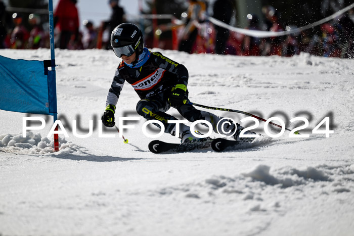 Ziener Cup Finale WF PSL, 30.03.2024 