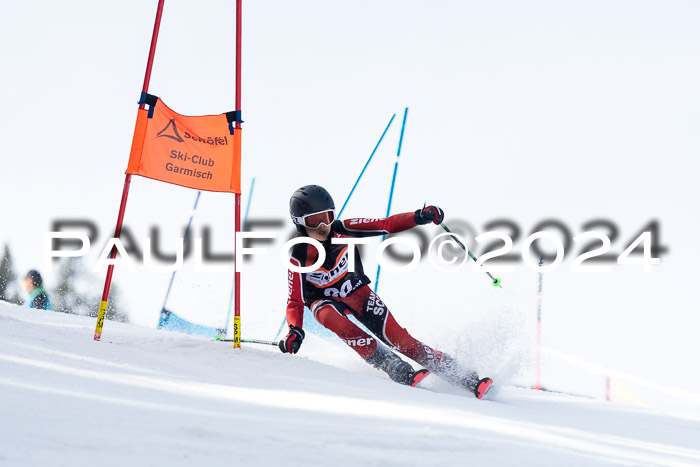 Ziener Cup Finale WF PSL, 30.03.2024 