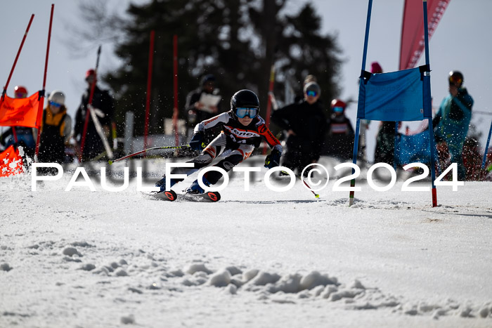 Ziener Cup Finale WF PSL, 30.03.2024 