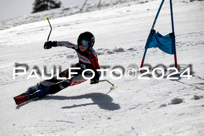 Ziener Cup Finale WF PSL, 30.03.2024 