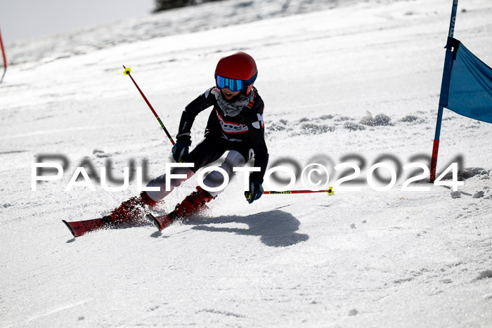 Ziener Cup Finale WF PSL, 30.03.2024 