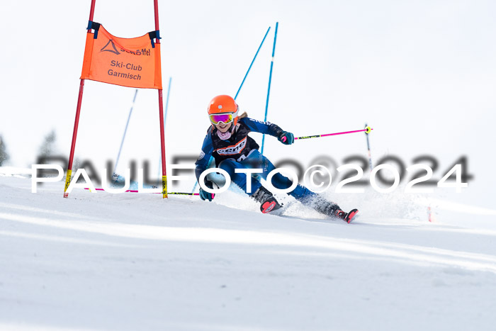 Ziener Cup Finale WF PSL, 30.03.2024 