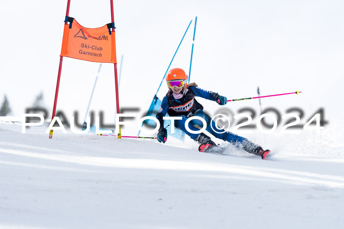 Ziener Cup Finale WF PSL, 30.03.2024 