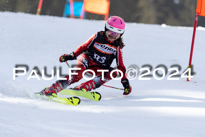Ziener Cup Finale WF PSL, 30.03.2024 