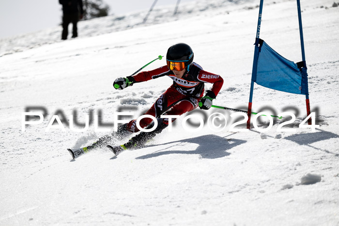 Ziener Cup Finale WF PSL, 30.03.2024 