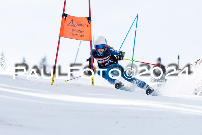 Ziener Cup Finale WF PSL, 30.03.2024 