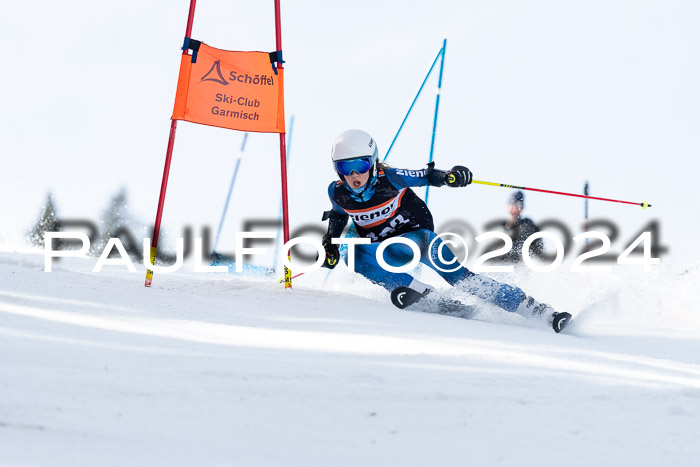 Ziener Cup Finale WF PSL, 30.03.2024 