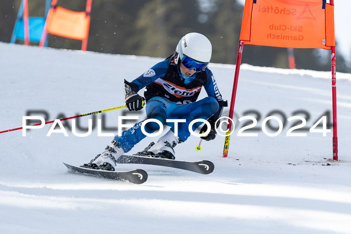 Ziener Cup Finale WF PSL, 30.03.2024 
