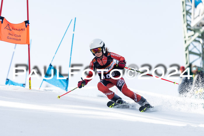 Ziener Cup Finale WF PSL, 30.03.2024 