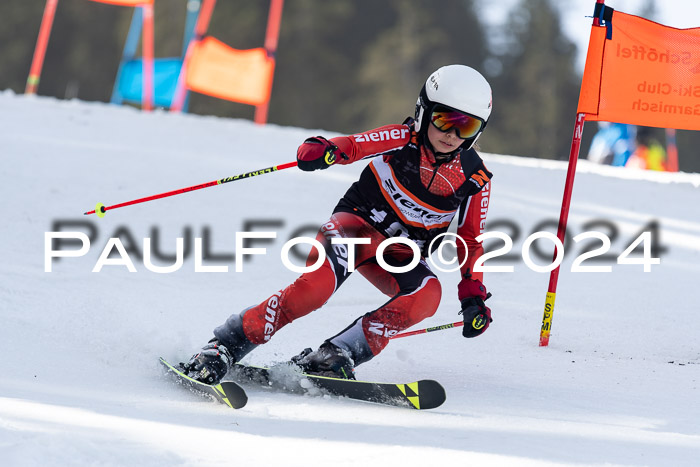 Ziener Cup Finale WF PSL, 30.03.2024 