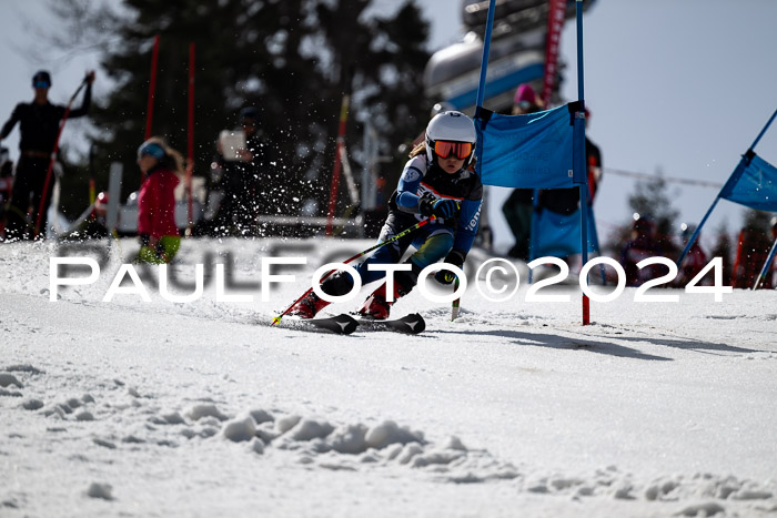 Ziener Cup Finale WF PSL, 30.03.2024 