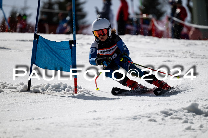 Ziener Cup Finale WF PSL, 30.03.2024 