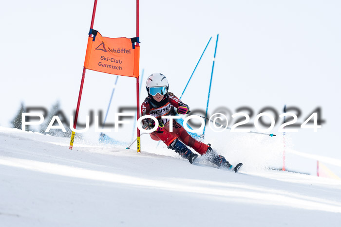 Ziener Cup Finale WF PSL, 30.03.2024 