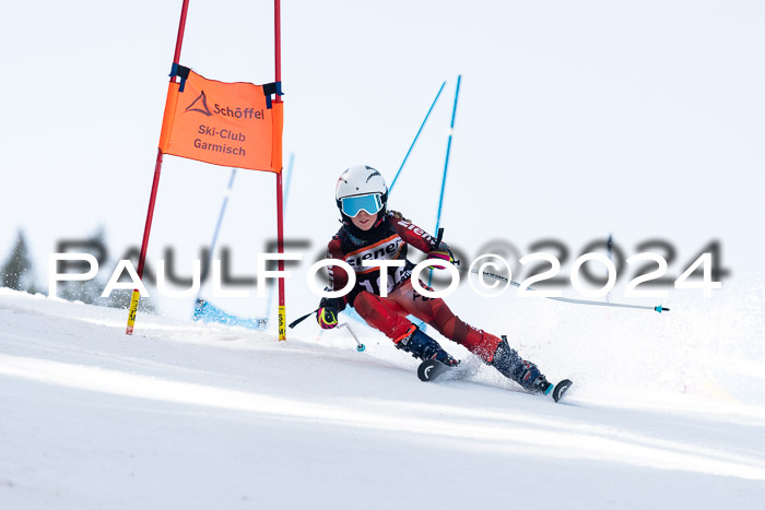 Ziener Cup Finale WF PSL, 30.03.2024 