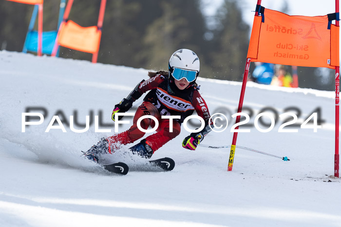 Ziener Cup Finale WF PSL, 30.03.2024 
