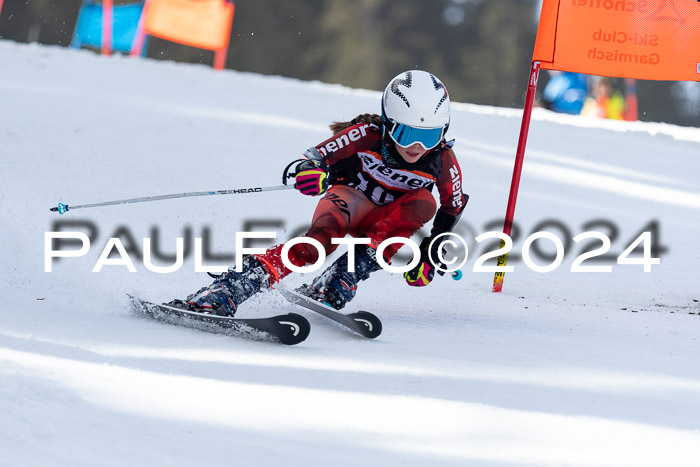 Ziener Cup Finale WF PSL, 30.03.2024 