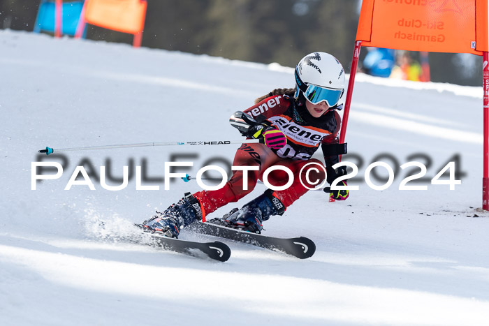 Ziener Cup Finale WF PSL, 30.03.2024 