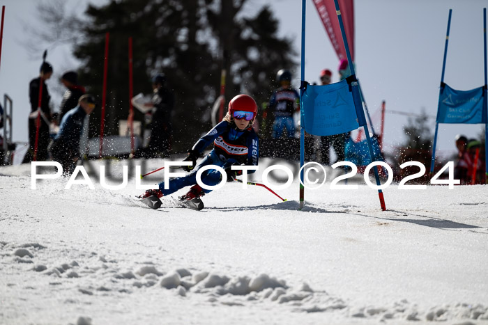 Ziener Cup Finale WF PSL, 30.03.2024 