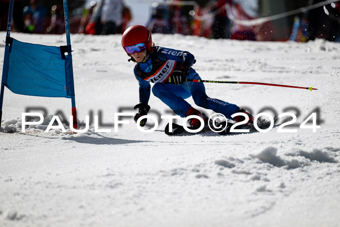 Ziener Cup Finale WF PSL, 30.03.2024 
