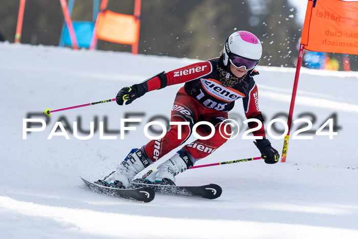 Ziener Cup Finale WF PSL, 30.03.2024 