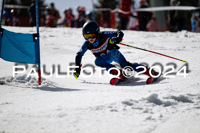 Ziener Cup Finale WF PSL, 30.03.2024 
