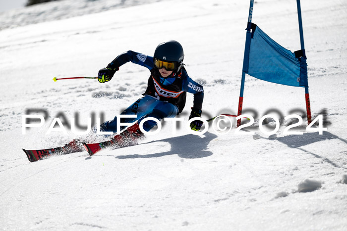 Ziener Cup Finale WF PSL, 30.03.2024 