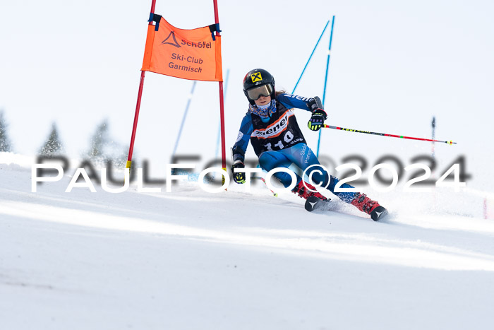 Ziener Cup Finale WF PSL, 30.03.2024 