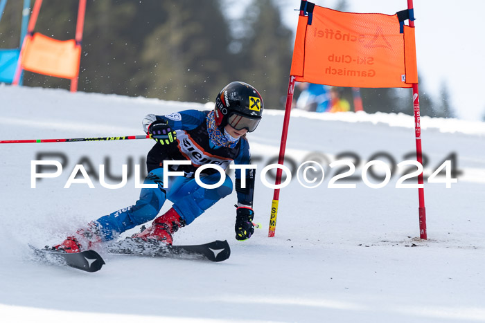 Ziener Cup Finale WF PSL, 30.03.2024 