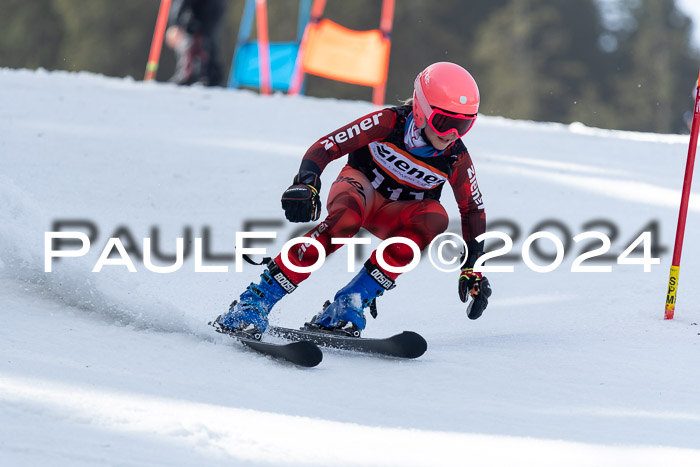 Ziener Cup Finale WF PSL, 30.03.2024 