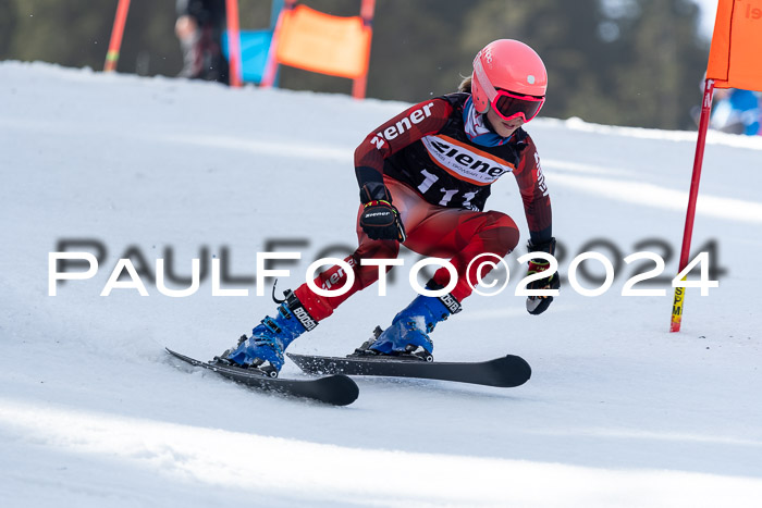 Ziener Cup Finale WF PSL, 30.03.2024 