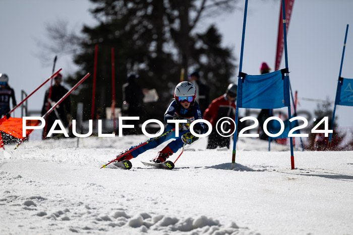 Ziener Cup Finale WF PSL, 30.03.2024 