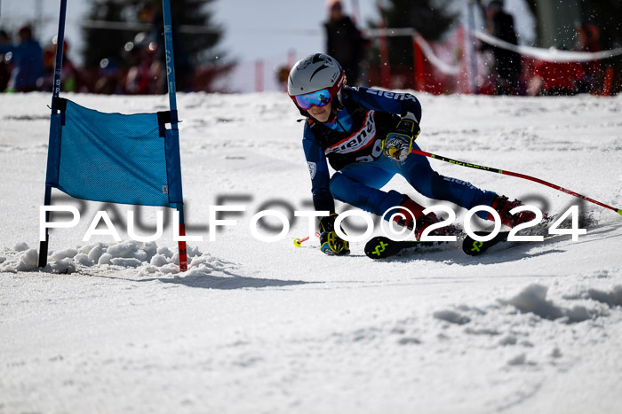 Ziener Cup Finale WF PSL, 30.03.2024 