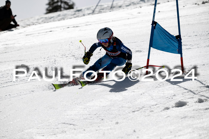 Ziener Cup Finale WF PSL, 30.03.2024 