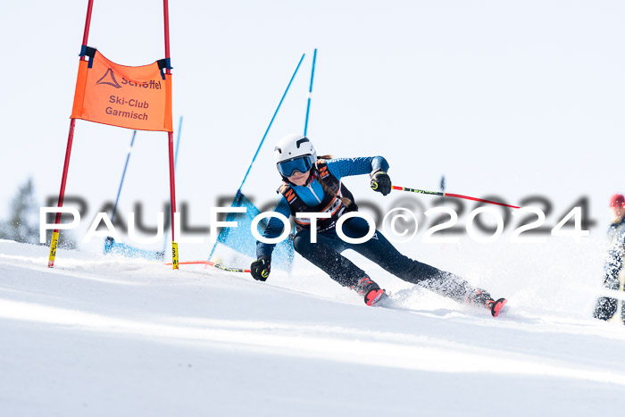 Ziener Cup Finale WF PSL, 30.03.2024 