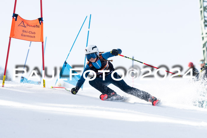 Ziener Cup Finale WF PSL, 30.03.2024 