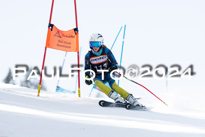 Ziener Cup Finale WF PSL, 30.03.2024 