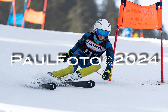 Ziener Cup Finale WF PSL, 30.03.2024 