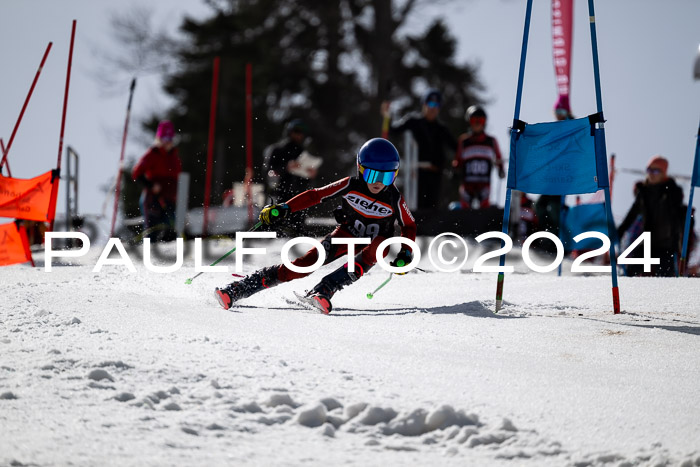 Ziener Cup Finale WF PSL, 30.03.2024 