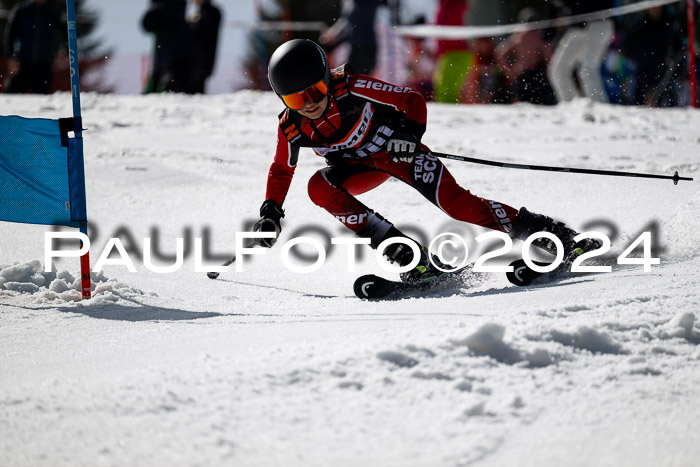 Ziener Cup Finale WF PSL, 30.03.2024 