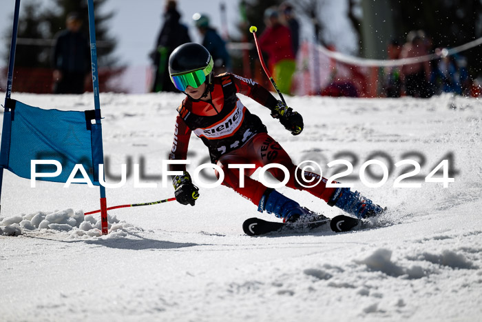 Ziener Cup Finale WF PSL, 30.03.2024 