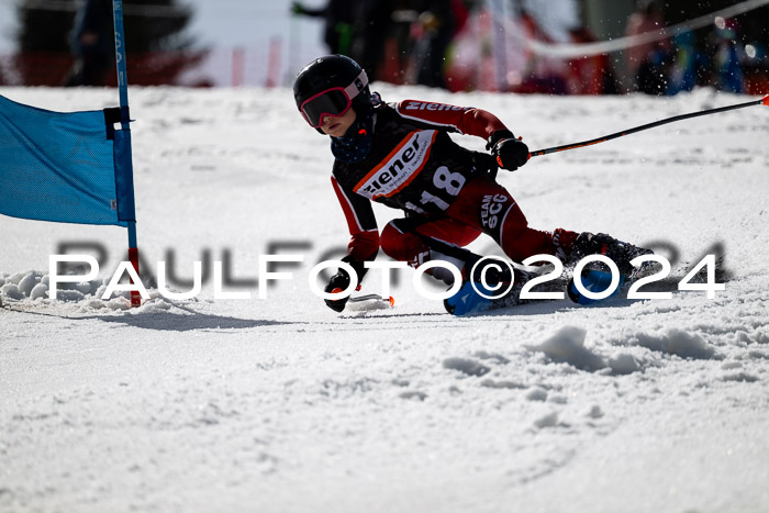 Ziener Cup Finale WF PSL, 30.03.2024 