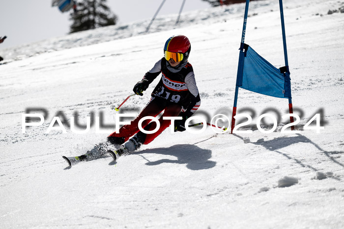 Ziener Cup Finale WF PSL, 30.03.2024 